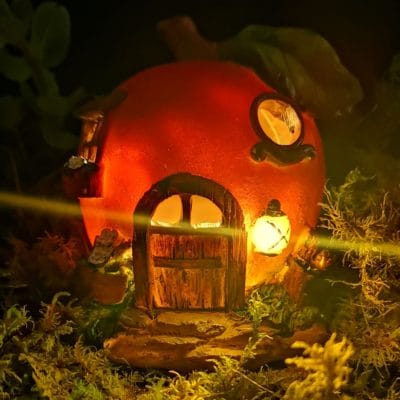 apple fairy house night light