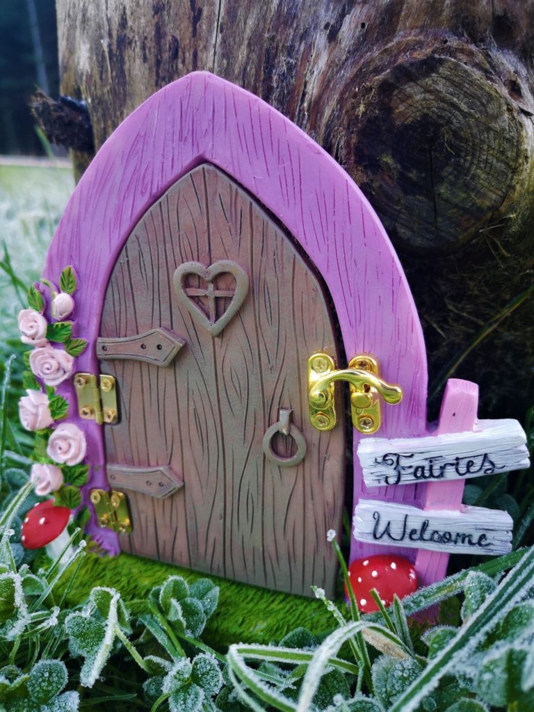 opening fairy door for a tree