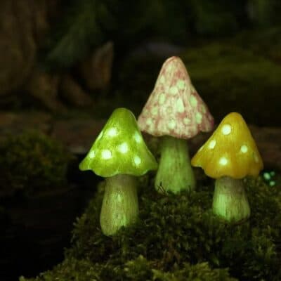 glowing garden mushrooms