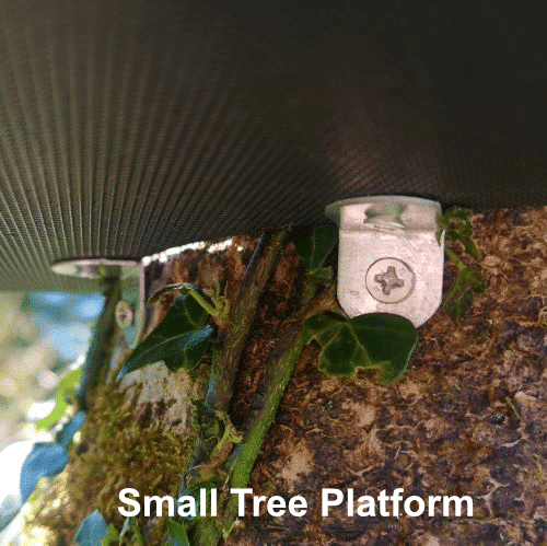 attach tree platform with screws
