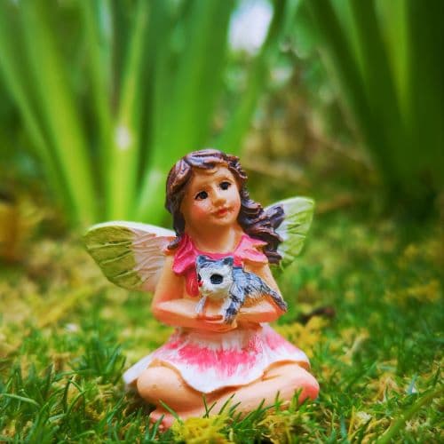 fairy garden fairies
