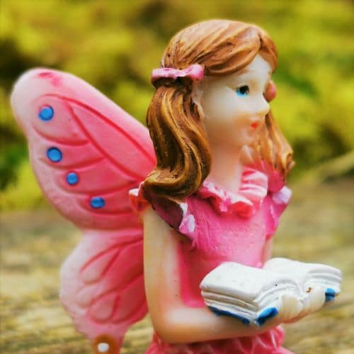fairy with book