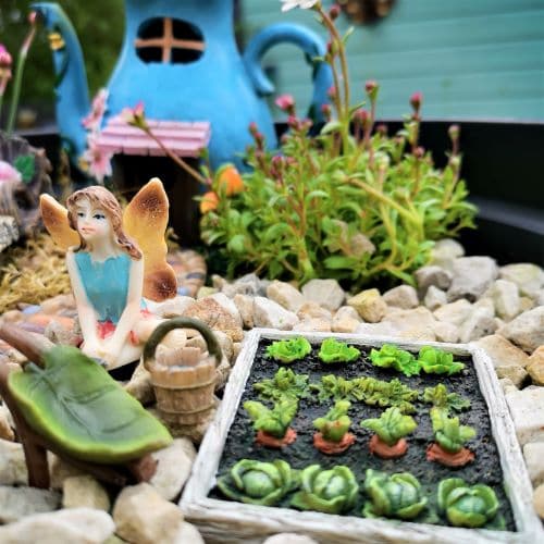miniature vegetable patch and wheelbarrow