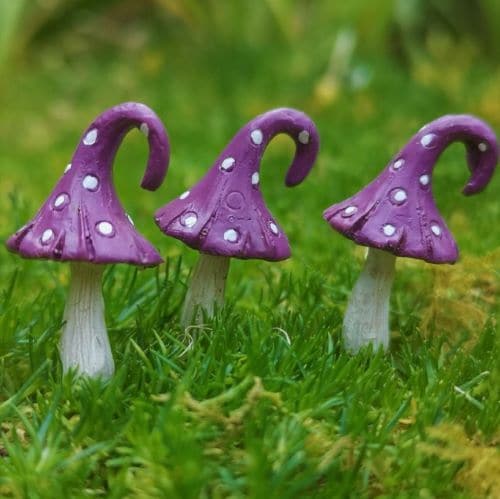 purple fairy garden accessories ireland