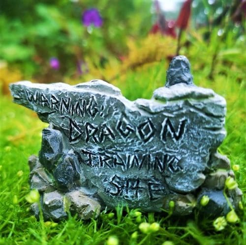 dragon sign fairy garden