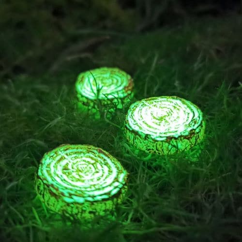 glowing fairy stepping stones