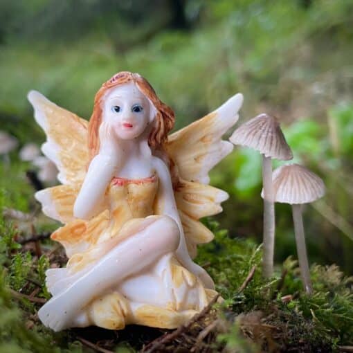 fairy in the woods