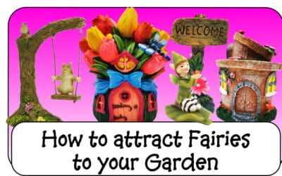 How to Attract Fairies to your Garden