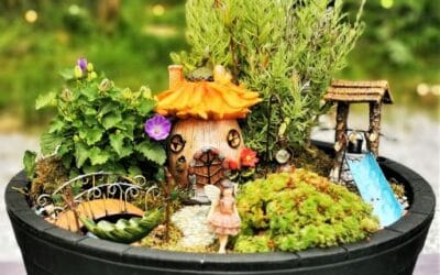 What is a Fairy Garden?