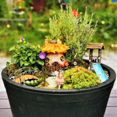 what is a fairy garden