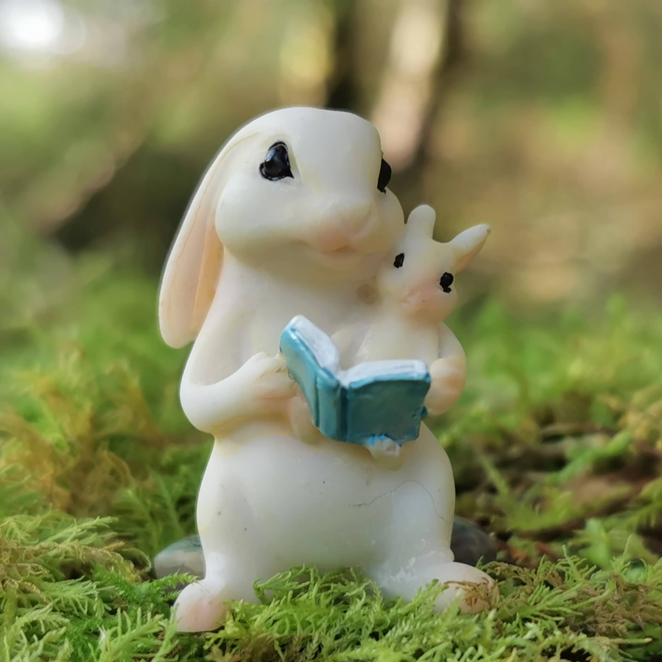 Reading Bunny - Away with the Fairies