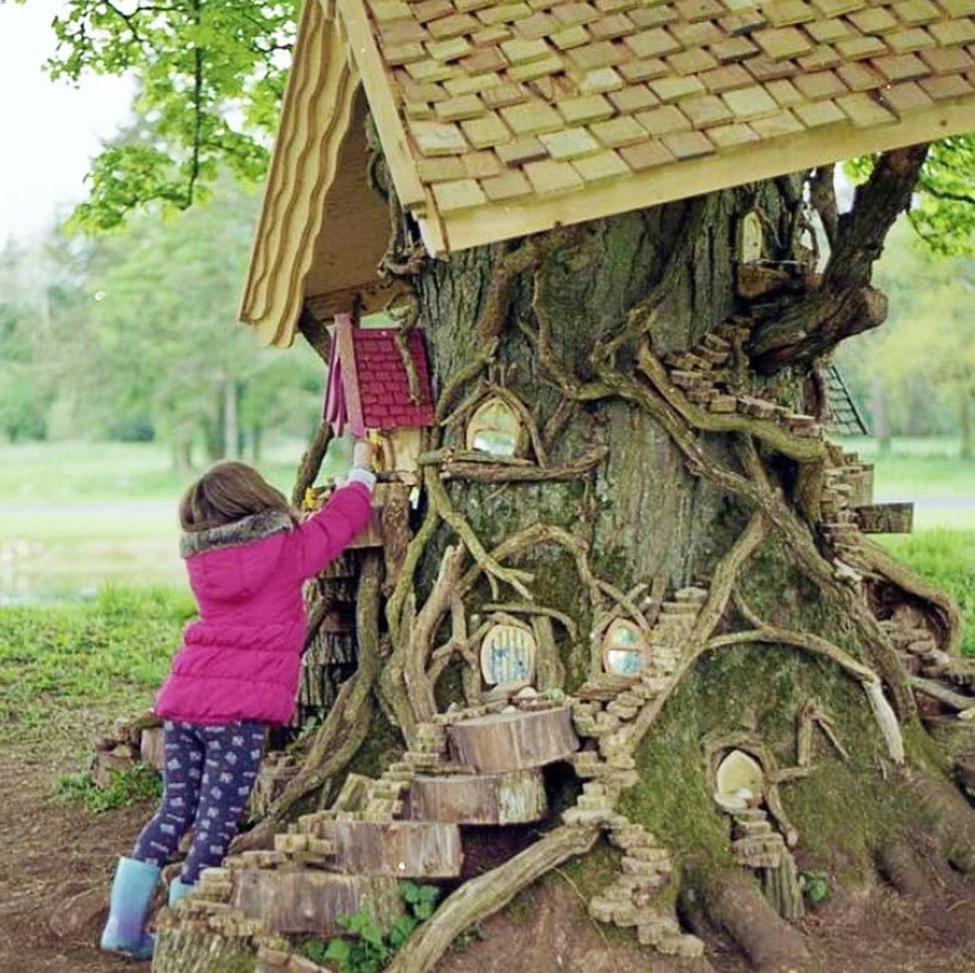 fairy house in a tree