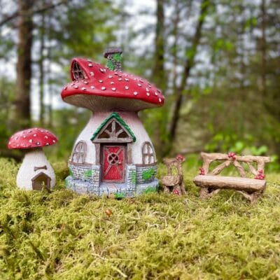 toadstool fairy Garden Kit
