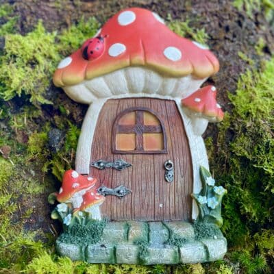 toadstool fairy doors Ireland