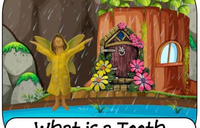 What is a Tooth Fairy Door?
