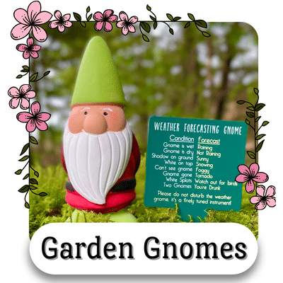 iornamental garden gnomes from Ireland