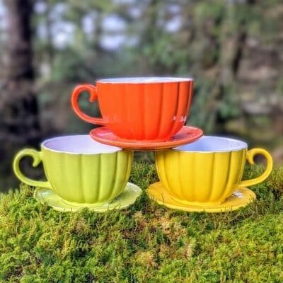 A set of multi coloured teacup planters for the garden
