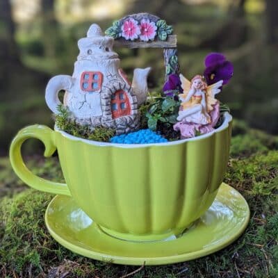 a green teacup with a miniature fairy garden inside